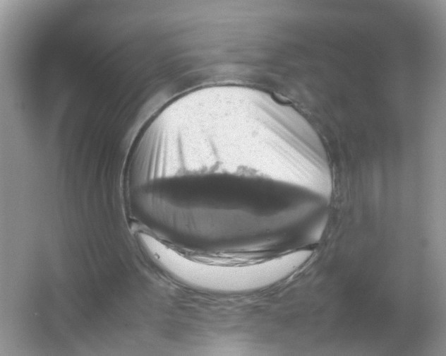 X0000063460099200602171938