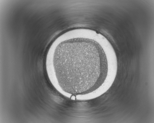 X0000063460108200602171938