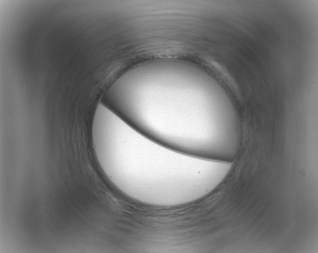 X0000063460113200602171938