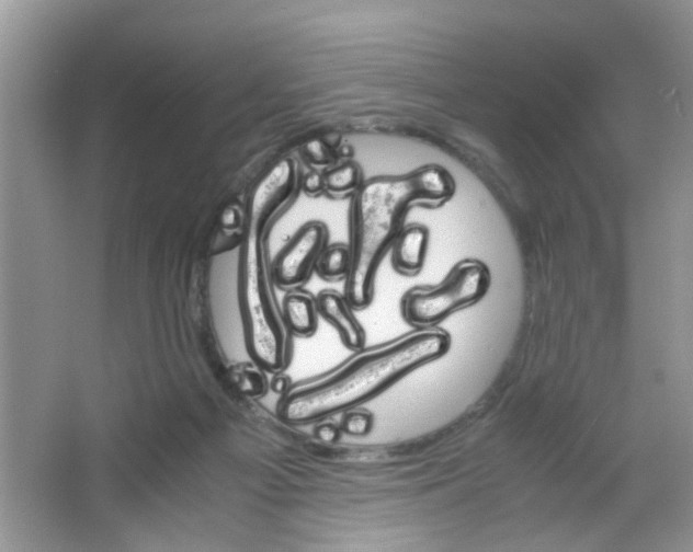 X0000063460121200602171938