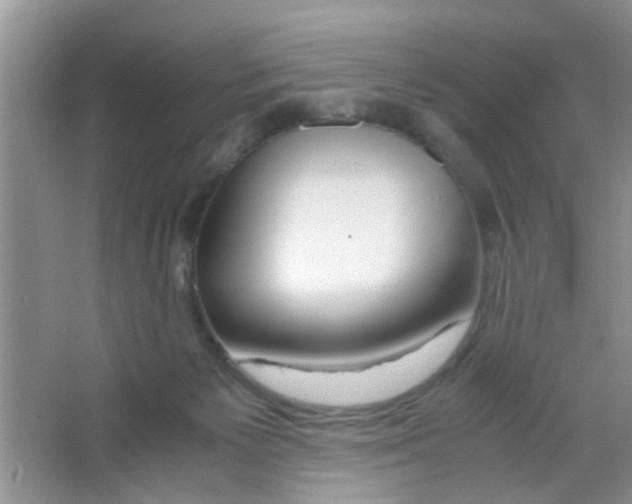 X0000063460125200602171938