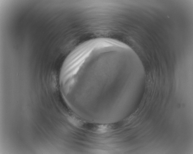 X0000063460130200602171938