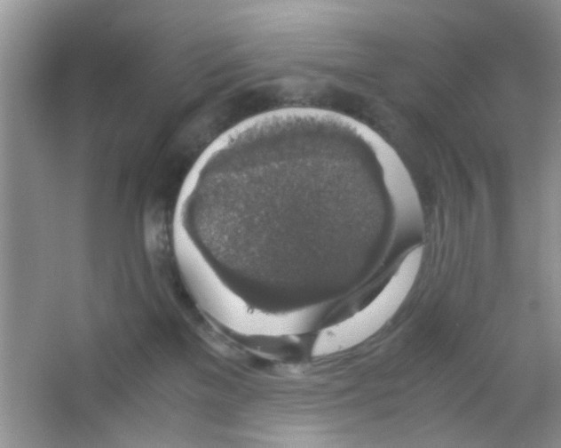X0000063460137200602171937