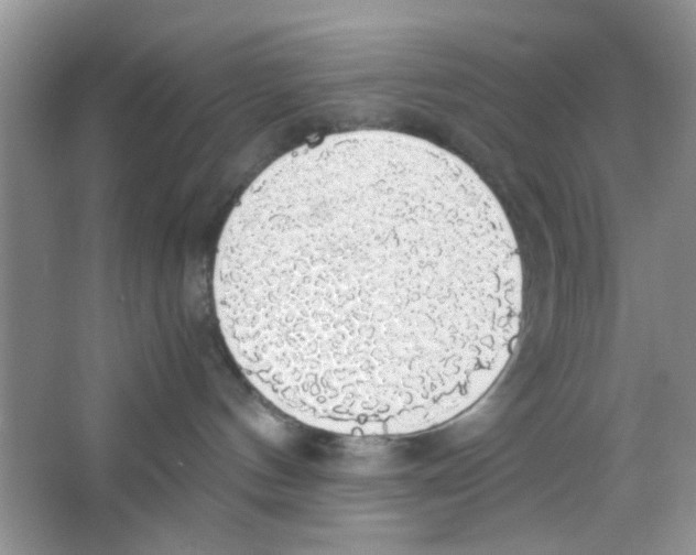 X0000063460144200602171937