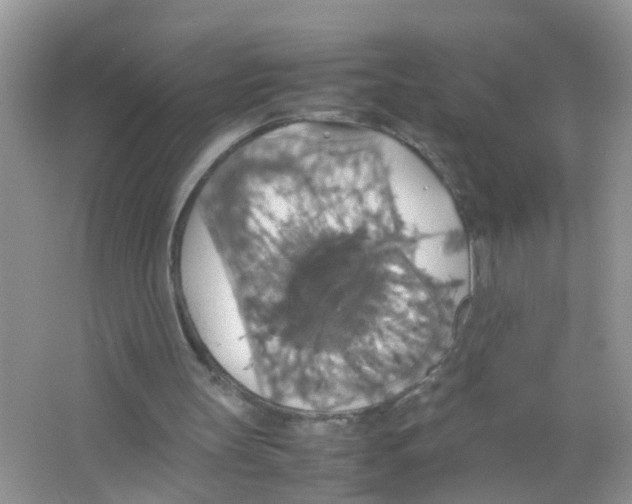 X0000063460147200602171936