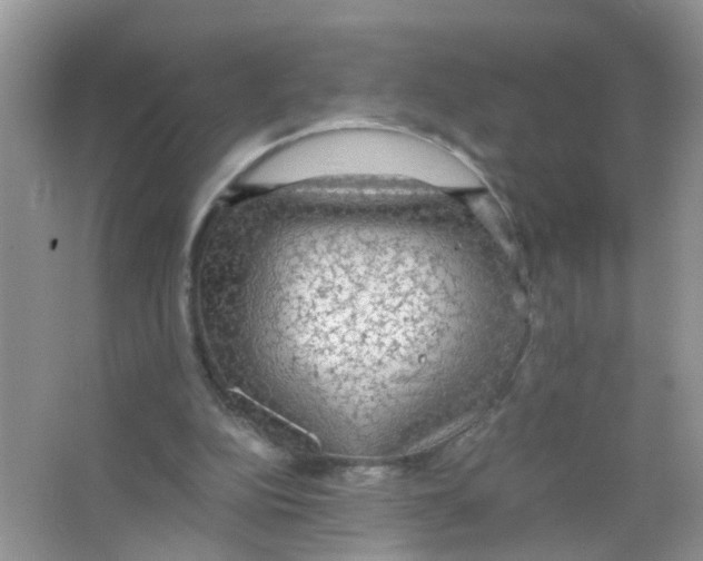 X0000063460152200602171936