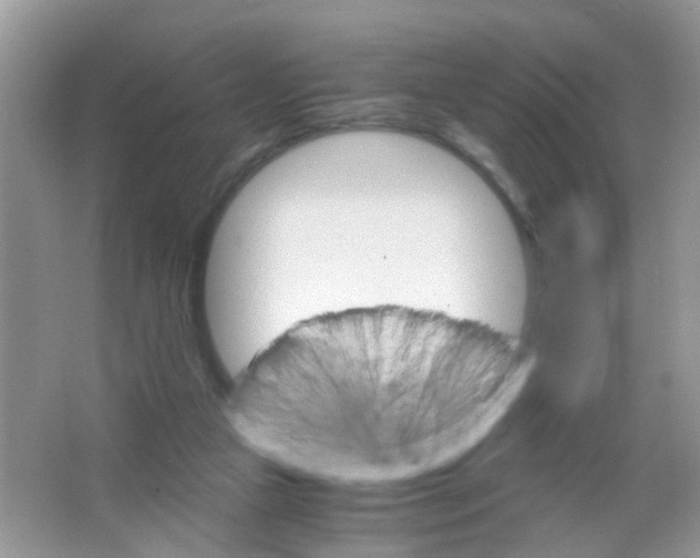 X0000063460161200602171937