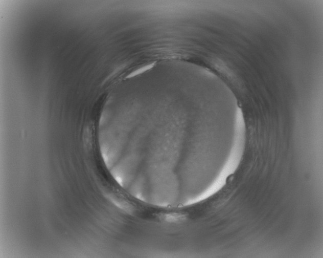 X0000063460165200602171937
