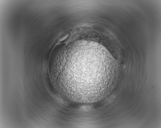 X0000063460168200602171937