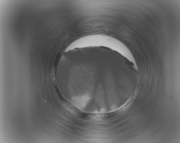 X0000063460182200602171937