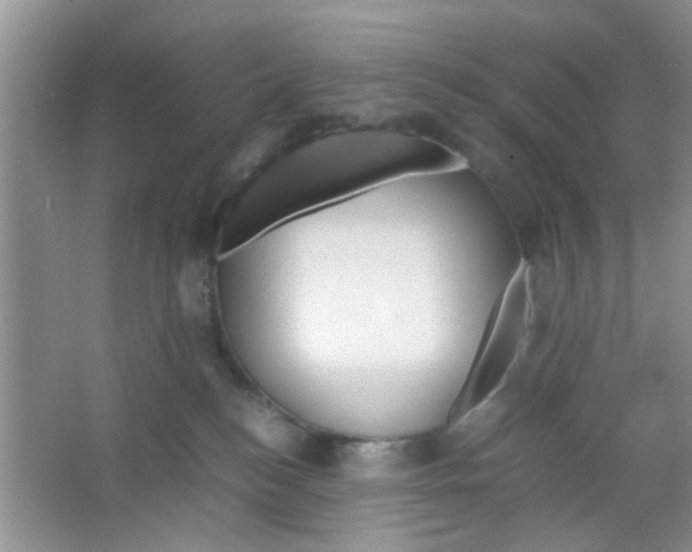X0000063460184200602171937