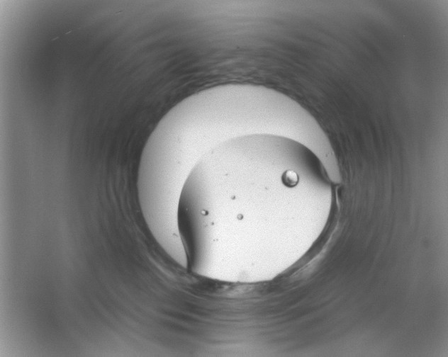 X0000063460186200602171937