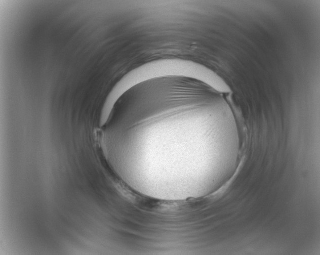 X0000063460190200602171937