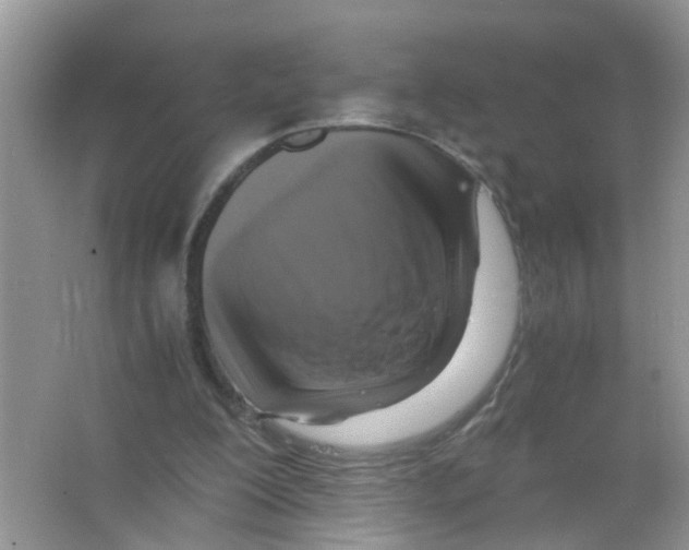 X0000063460200200602171936