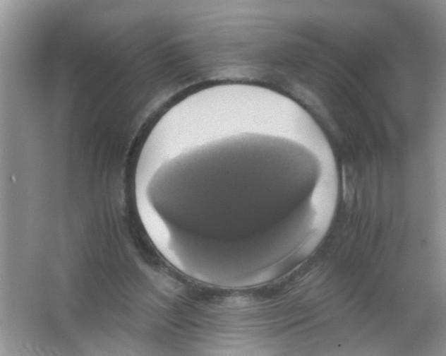 X0000063460204200602171936