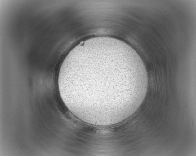 X0000063460208200602171936