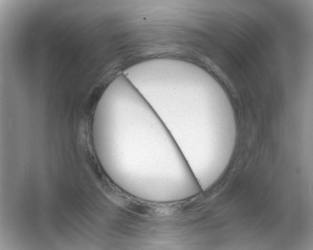 X0000063460209200602171936