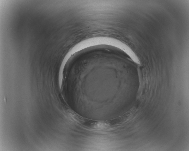 X0000063460223200602171936