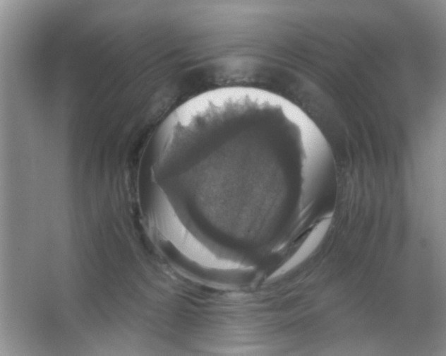 X0000063460224200602171936