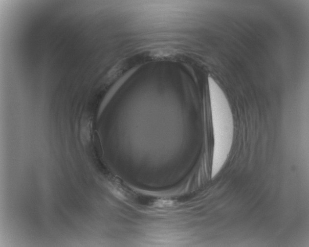 X0000063460227200602171936