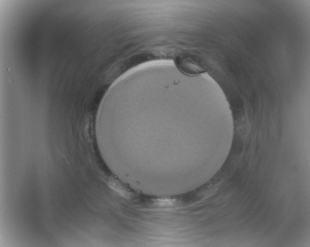 X0000063460233200602171936
