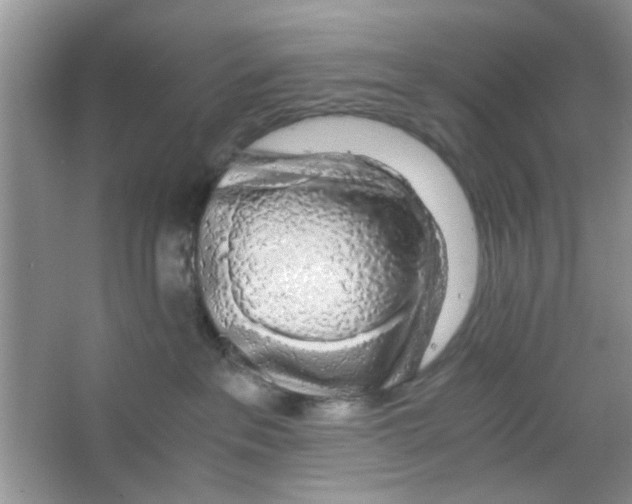 X0000063460237200602171936