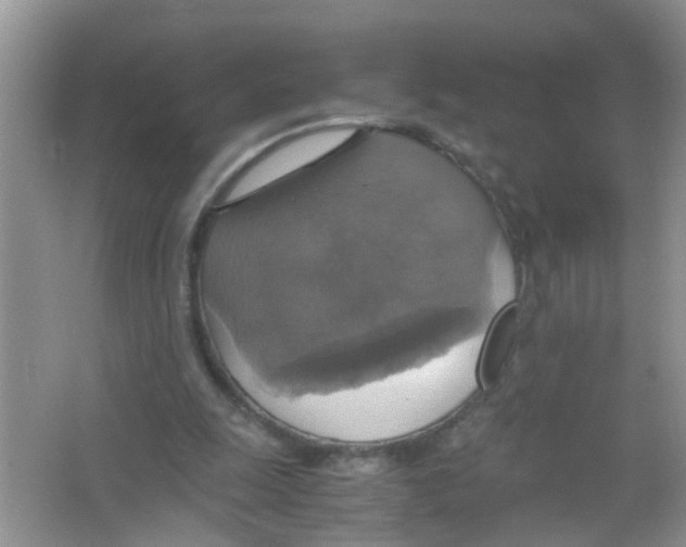 X0000063460247200602171935