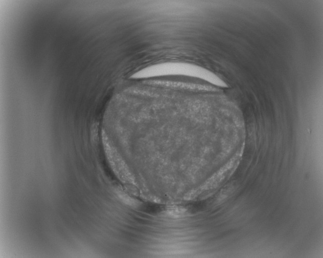 X0000063460278200602171935