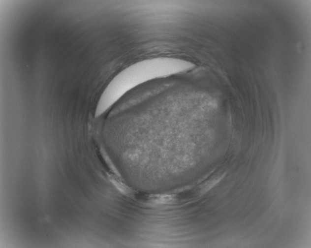 X0000063460288200602171935