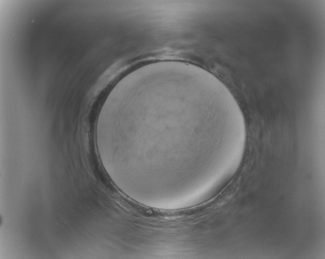 X0000063460295200602171935