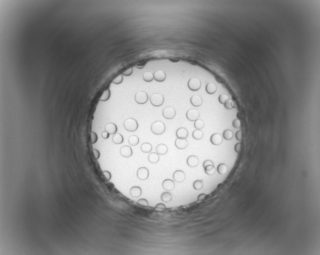 X0000063460297200602171934