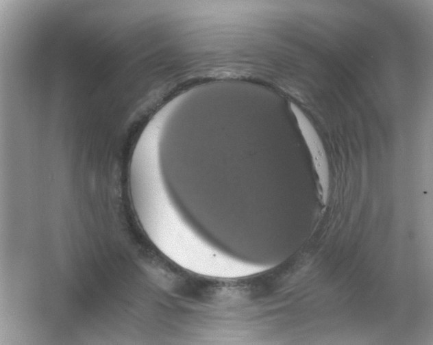 X0000063460303200602171934