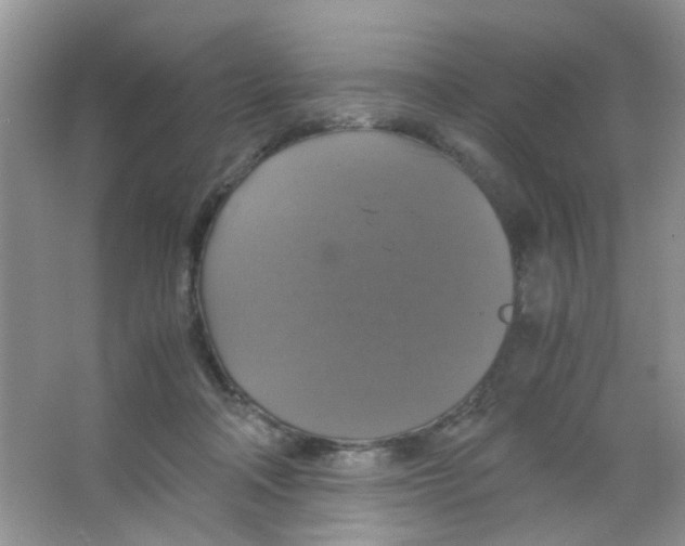 X0000063460314200602171934