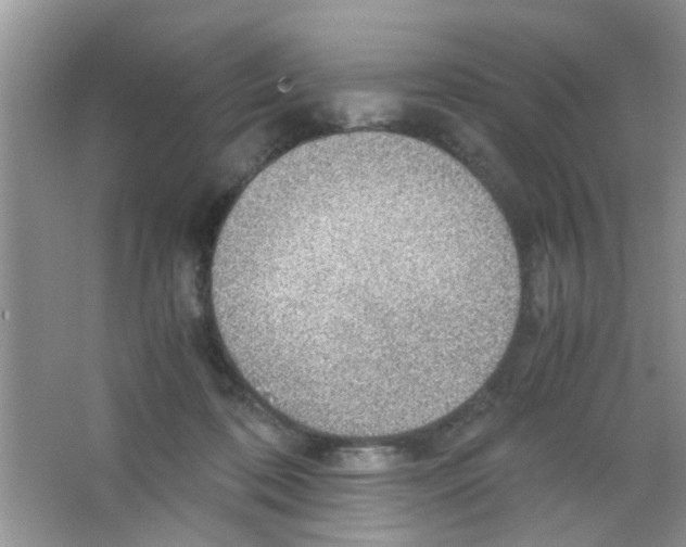 X0000063460316200602171934