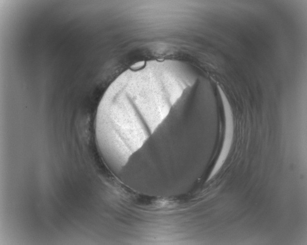 X0000063460319200602171934