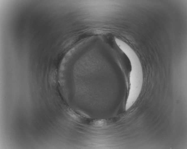 X0000063460325200602171934