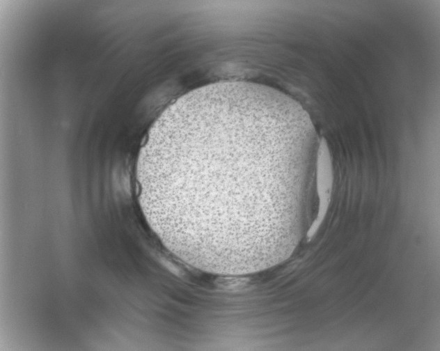 X0000063460334200602171934