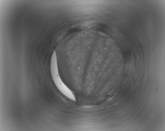 X0000063460335200602171934