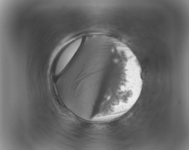 X0000063460343200602171933