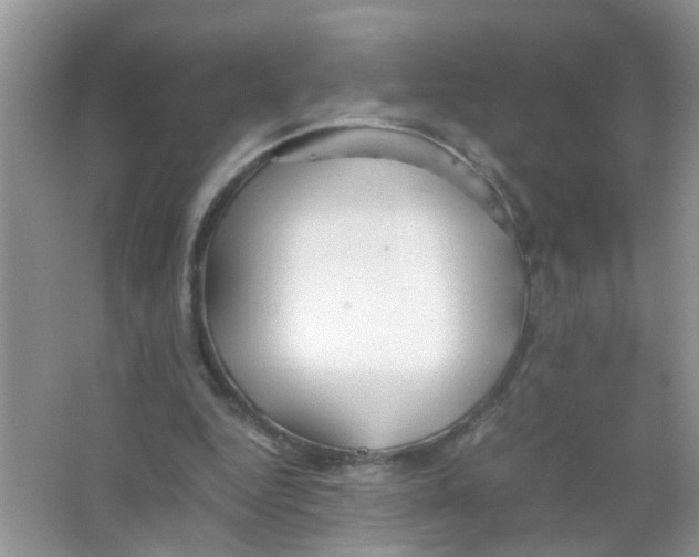 X0000063460344200602171933