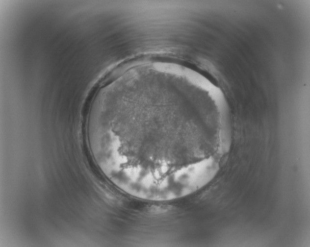 X0000063460346200602171933