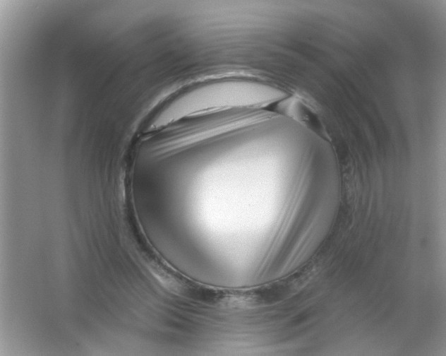 X0000063460350200602171933
