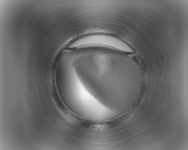 X0000063460352200602171933