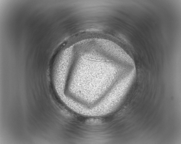 X0000063460354200602171933
