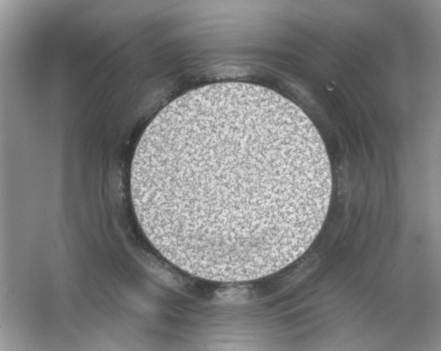 X0000063460362200602171933