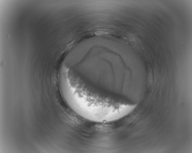 X0000063460367200602171933