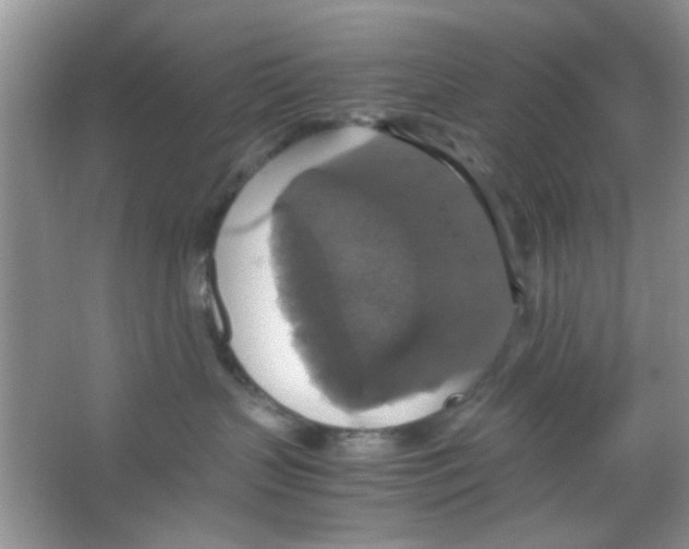 X0000063460383200602171934