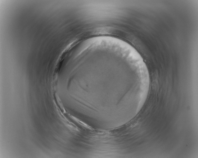 X0000063460386200602171933
