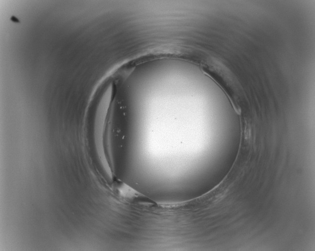 X0000063460388200602171933