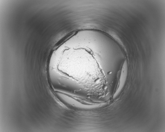 X0000063460389200602171933